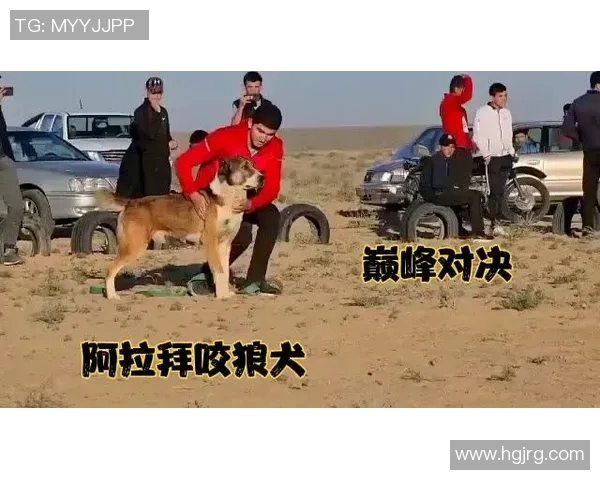 南墨尔本与阿拉门激战正酣谁能在这场对决中笑到最后